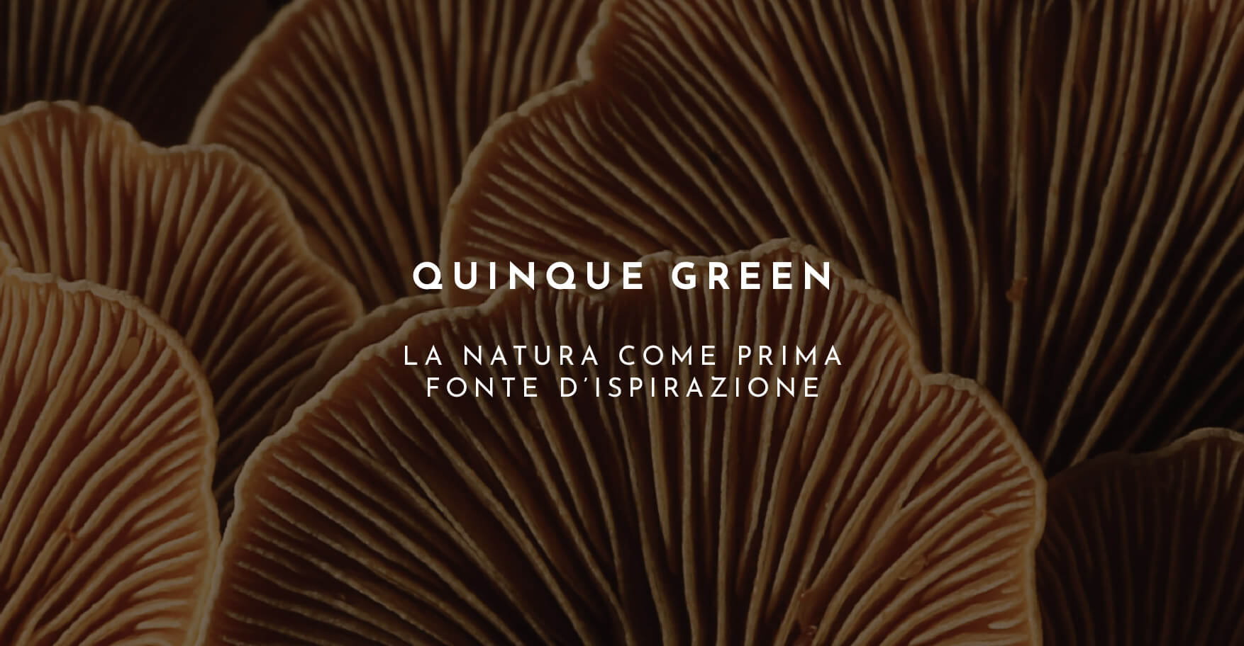 menu Quinque Green